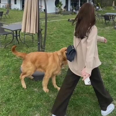 强敌